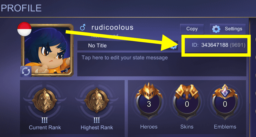 USER ID (SERVER)